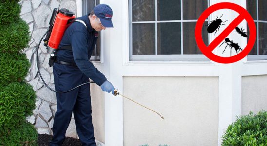 Yalova Karınca İlaçlama böcek ilaçlama ve haşere kontrolü — ilaclama-tr.com